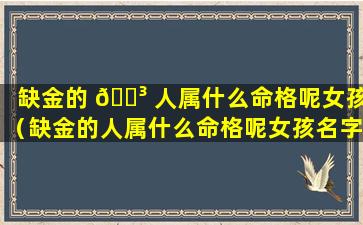 缺金的 🐳 人属什么命格呢女孩（缺金的人属什么命格呢女孩名字）